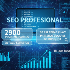 SEO posicionamiento orgánico